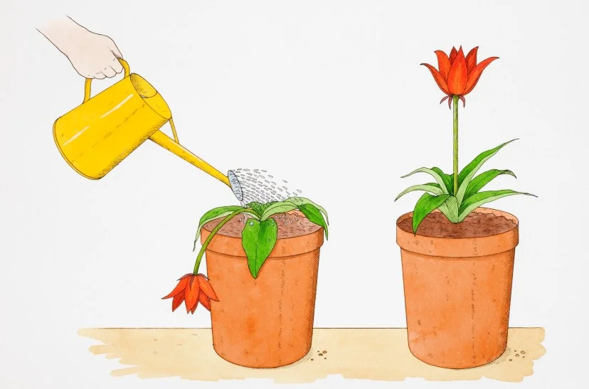How to ask for help when you’re really going through it